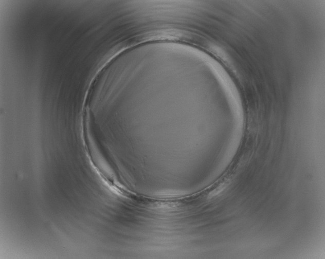 X0000068840802200605191924