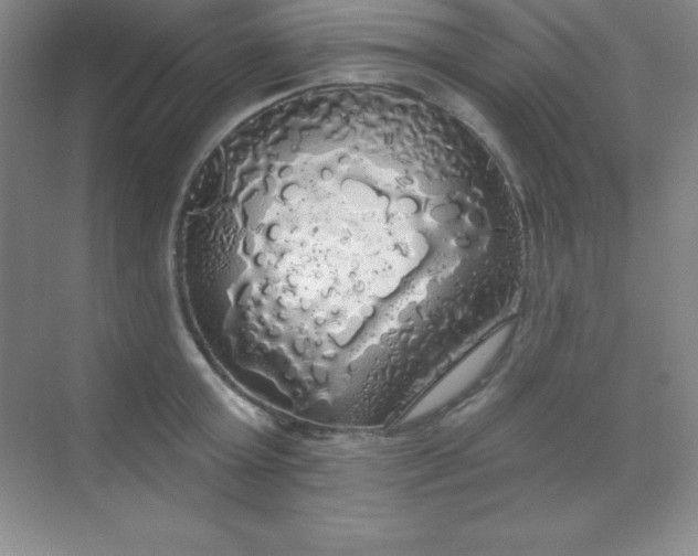 X0000068840803200605191924