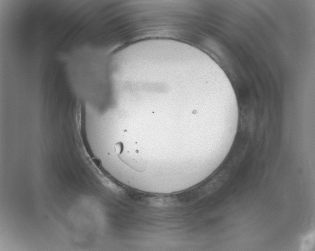 X0000068840804200605191924