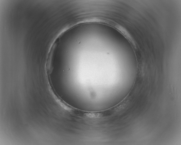 X0000068840805200605191924