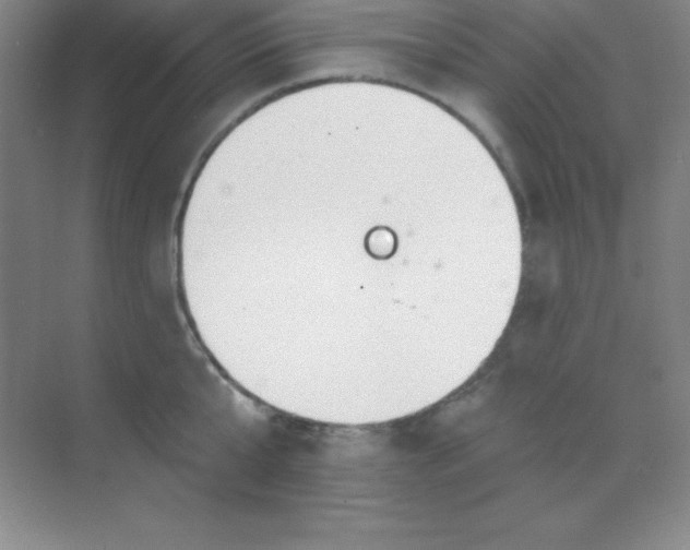 X0000068840807200605191924