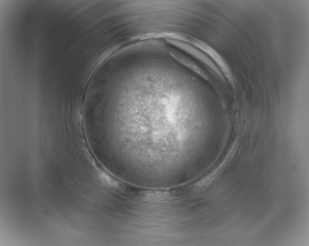 X0000068840809200605191924