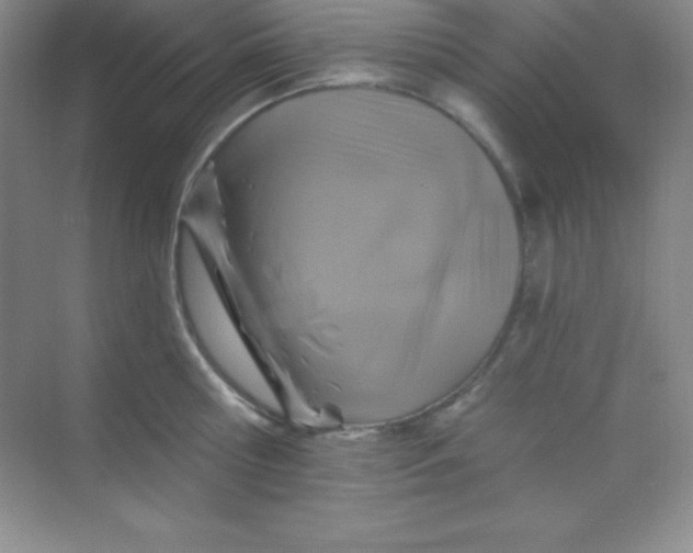 X0000068840810200605191924