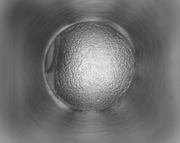 X0000068840811200605191924