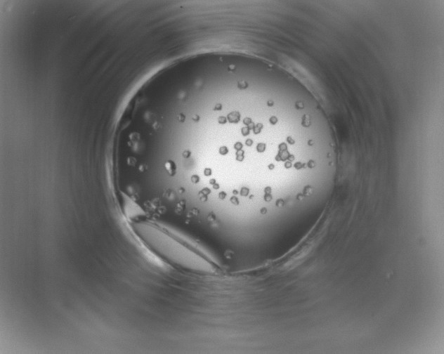 X0000068840812200605191924