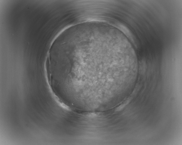 X0000068840814200605191924