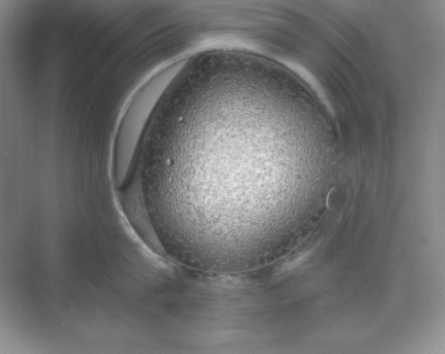 X0000068840815200605191924