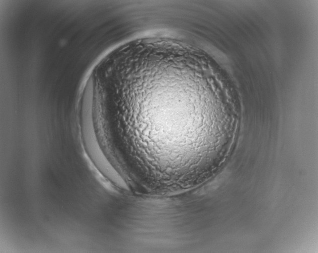 X0000068840816200605191924