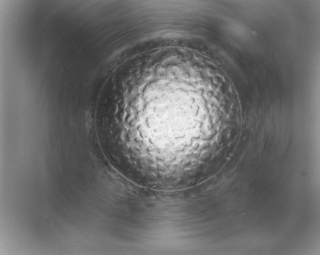 X0000068840821200605191923