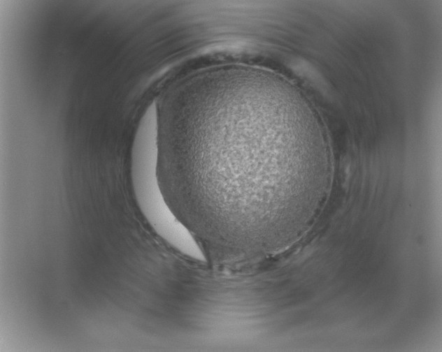 X0000068840822200605191923