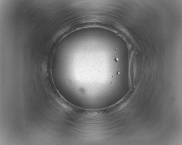 X0000068840826200605191923