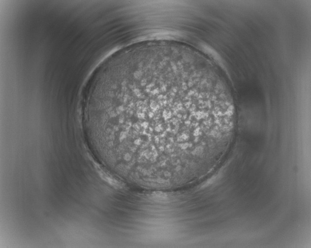 X0000068840827200605191923