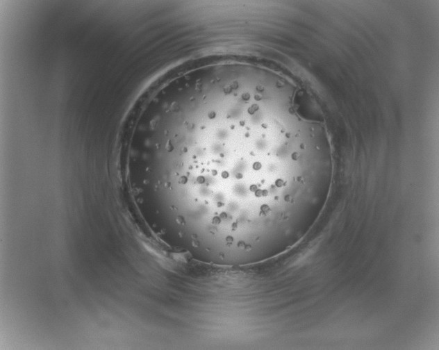 X0000068840830200605191923