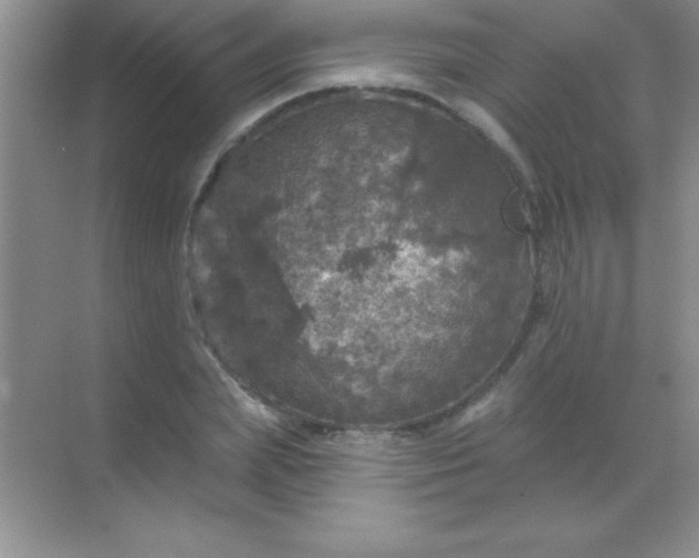 X0000068840831200605191923