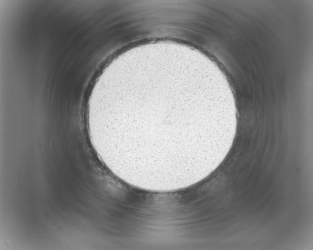 X0000068840832200605191923