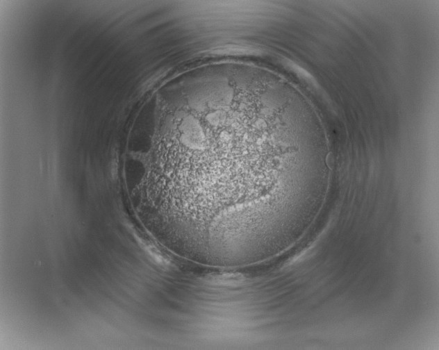 X0000068840833200605191923