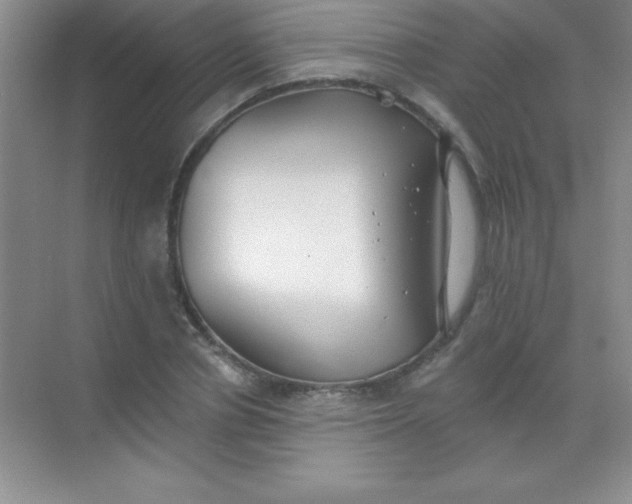 X0000068840834200605191923