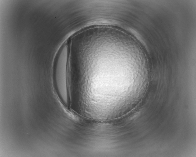 X0000068840837200605191923