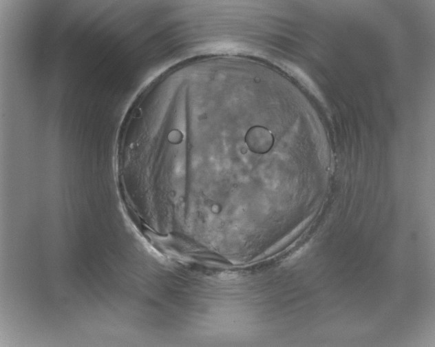 X0000068840839200605191923