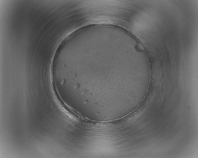 X0000068840840200605191923