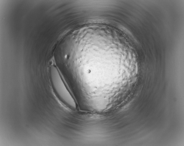 X0000068840841200605191923