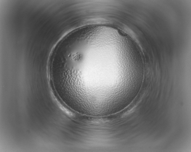 X0000068840843200605191923