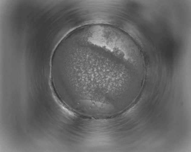 X0000068840844200605191923