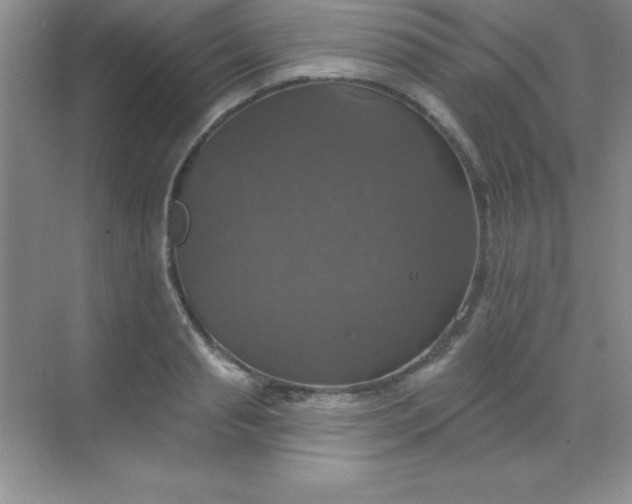 X0000068840845200605191923