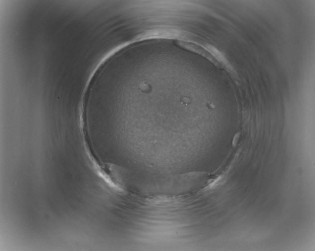 X0000068840846200605191923