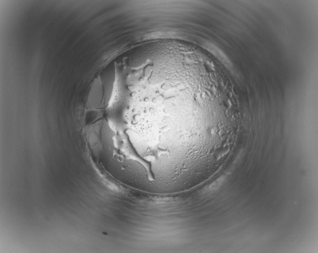 X0000068840849200605191923