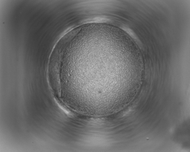 X0000068840850200605191923