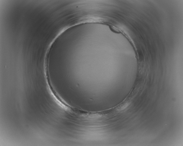 X0000068840851200605191923