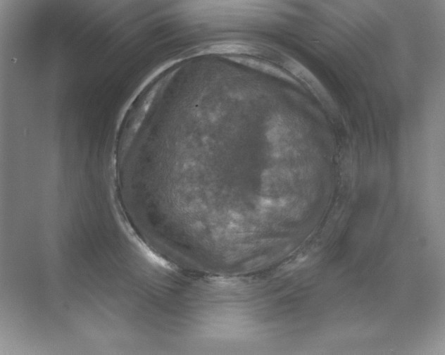 X0000068840852200605191923