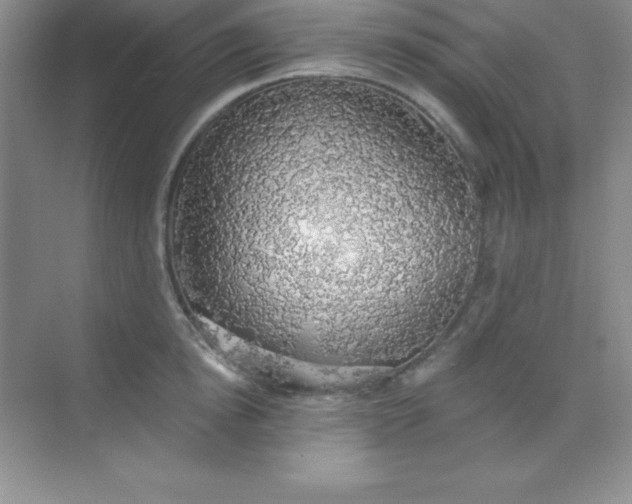 X0000068840854200605191924