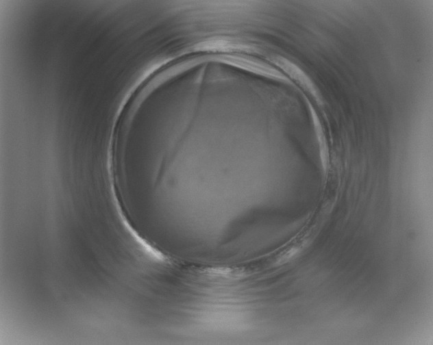 X0000068840855200605191924