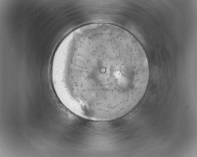 X0000068840856200605191924