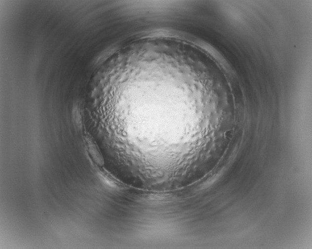 X0000068840857200605191924