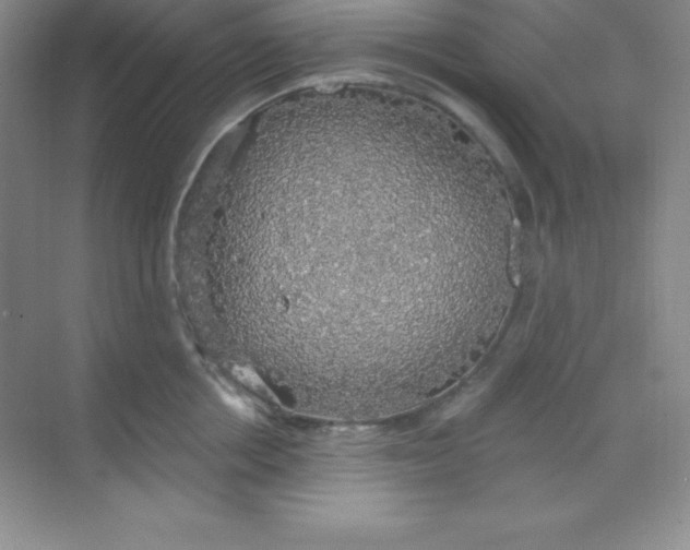 X0000068840858200605191924