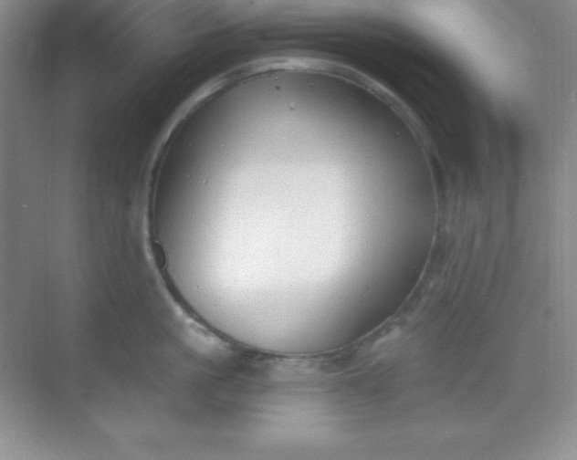 X0000068840861200605191924