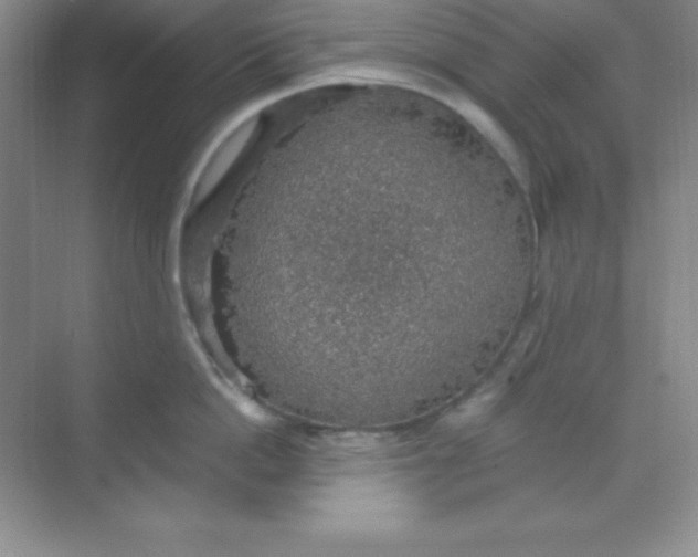 X0000068840862200605191924