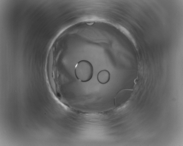 X0000068840863200605191924