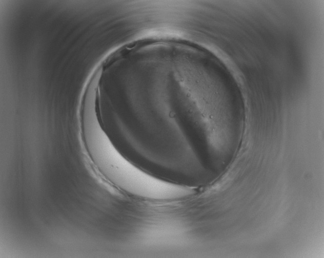 X0000068840864200605191924