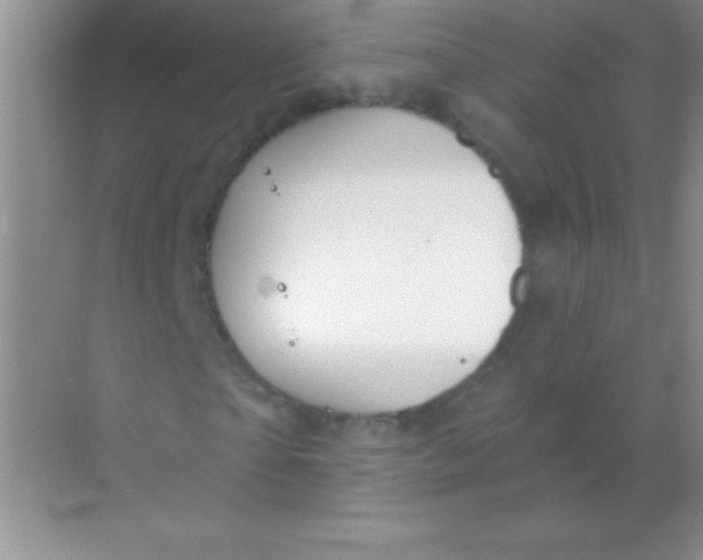 X0000068840865200605191923