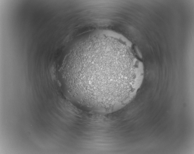 X0000068840866200605191923