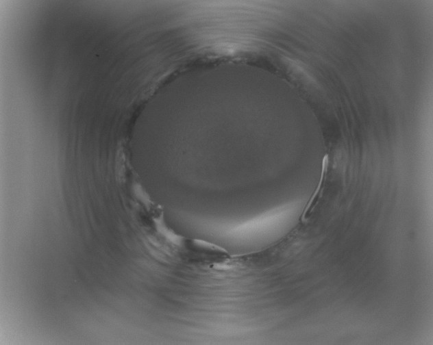 X0000068840868200605191923