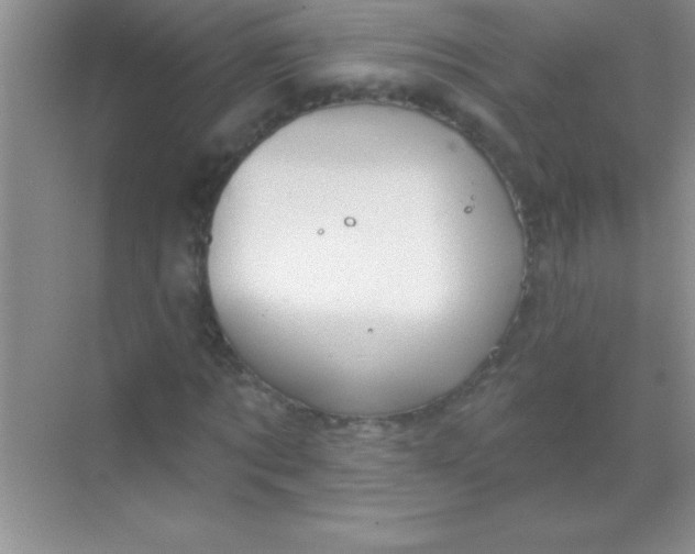 X0000068840869200605191923