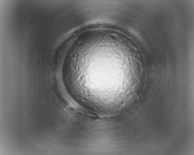 X0000068840872200605191923