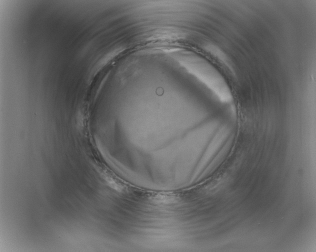 X0000068840874200605191923