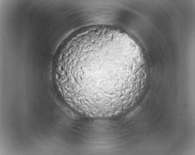 X0000068840875200605191923