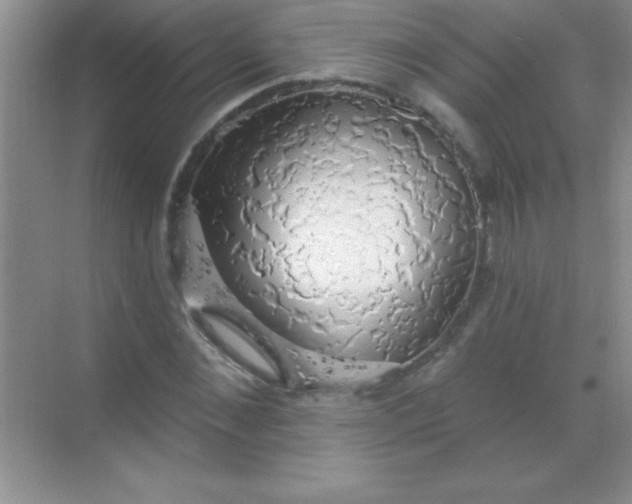 X0000068840876200605191923